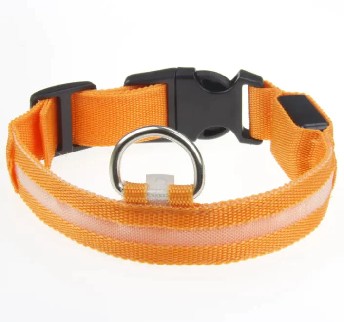 Collar LED para Perro