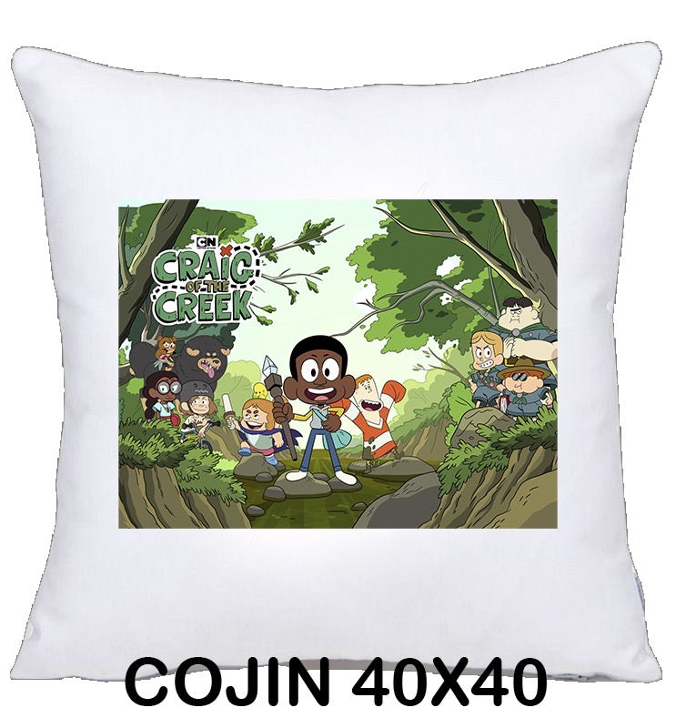 COJIN 40X40 CRAIG OF THE CREEK DECORACION HOGAR REGALOS