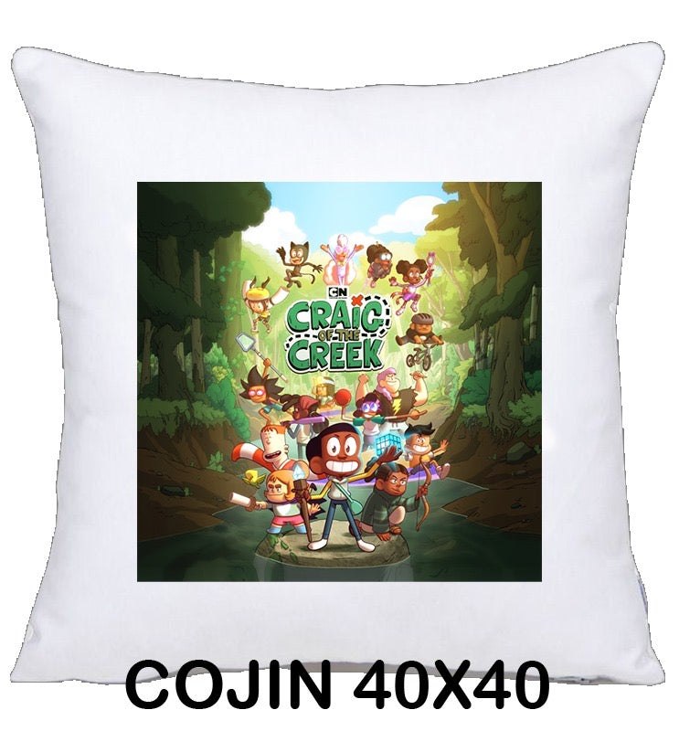 COJIN 40X40 CRAIG OF THE CREEK 2 DECORACION HOGAR REGALOS