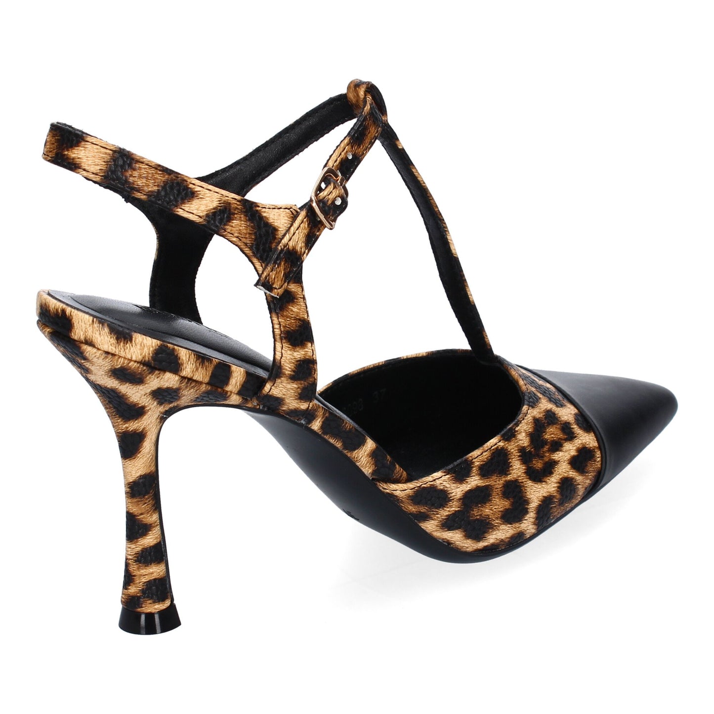 B-5098-Leopardo