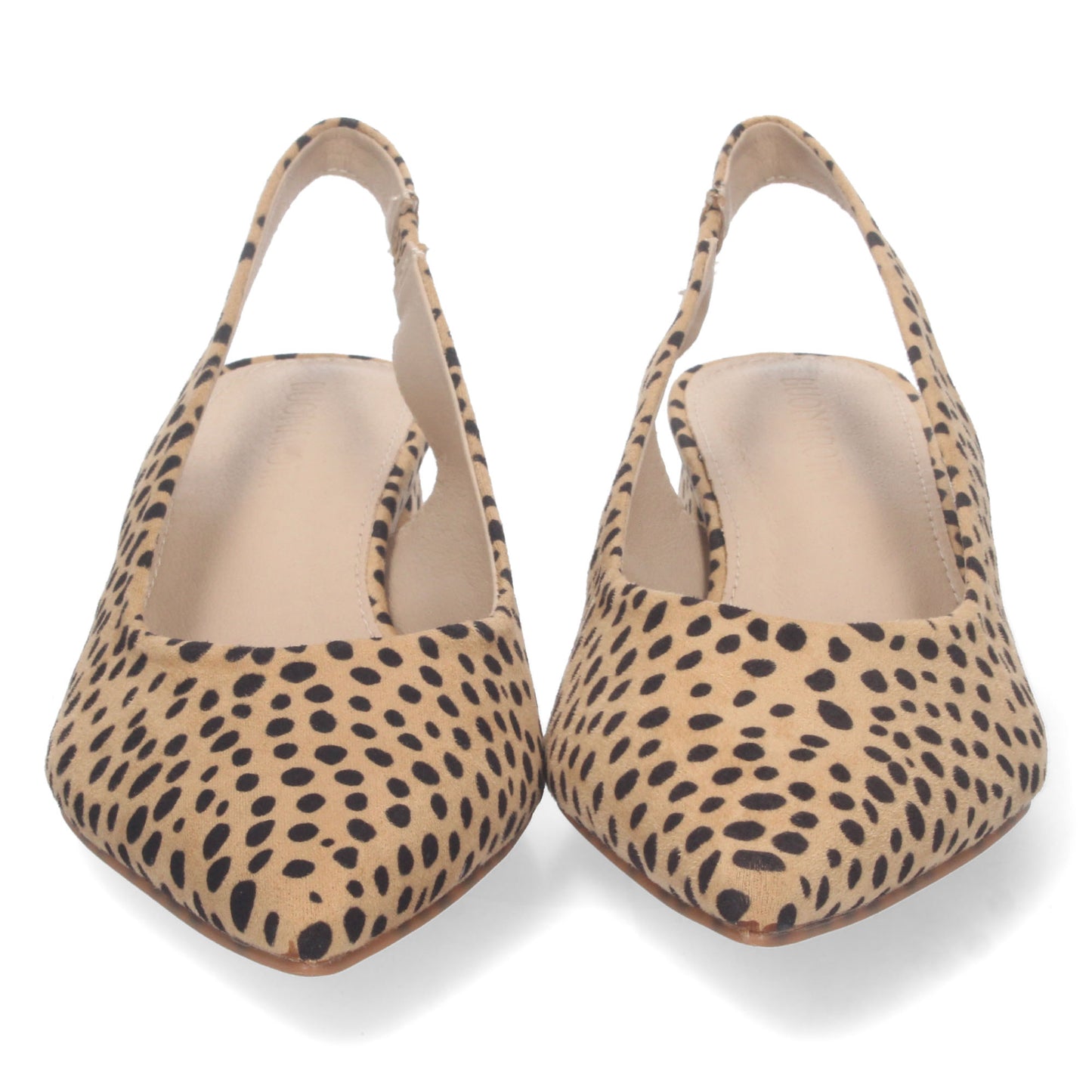 DB-2360-Leopardo